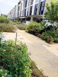 Belgravia Villas (D28), Terrace #618859281